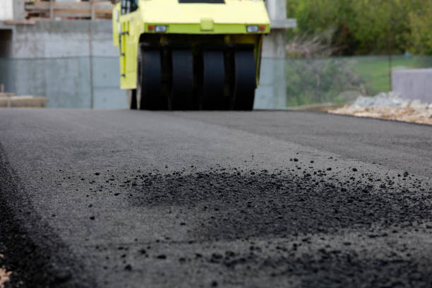 Best Residential Paver Driveway  in Petersburg, IL