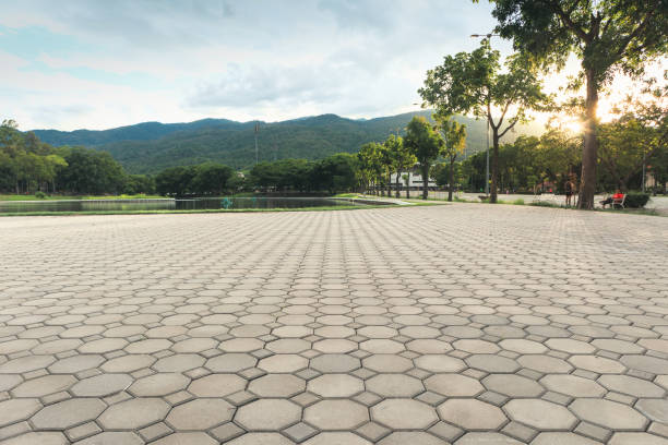 Best Professional Driveway Pavers  in Petersburg, IL